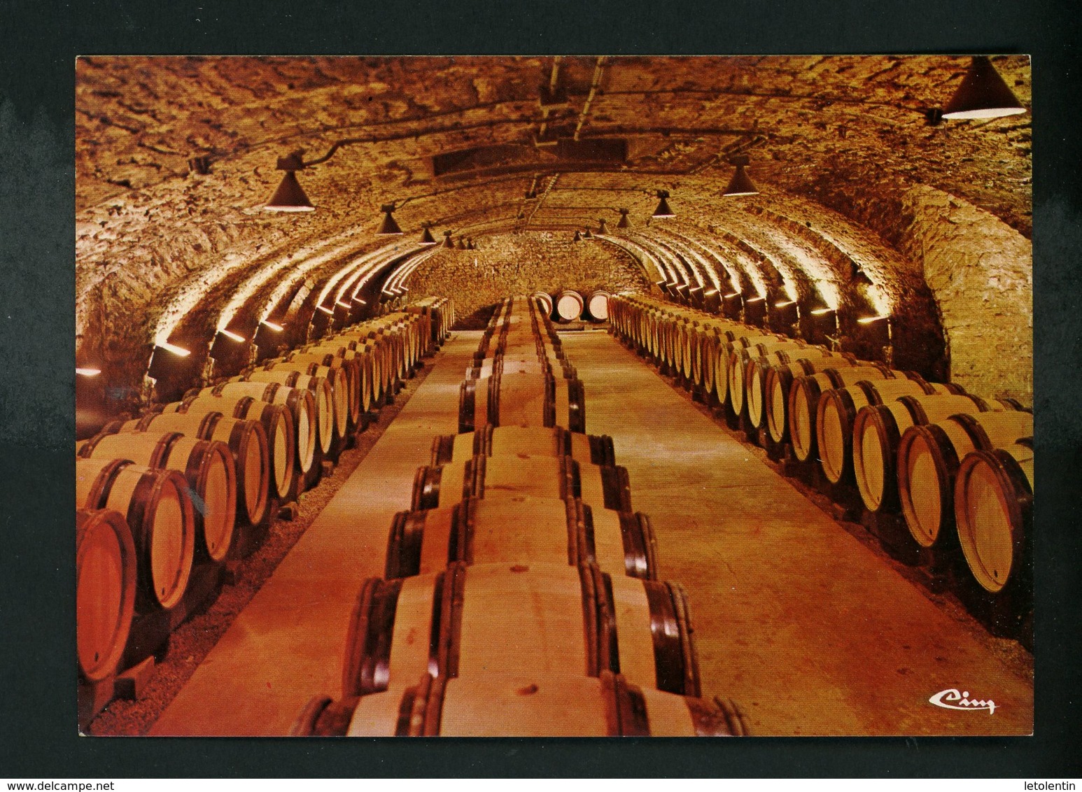 CPM - CAVE BOURGUIGNONNE - - Vignes