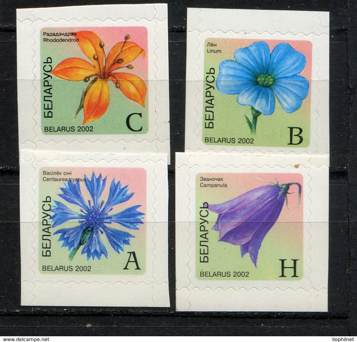 BIELORUSSIE BELARUS 2002, FLEURS / FLOWERS, Autocollants, 4 Valeurs, Neufs / Mint. R1795 - Belarus