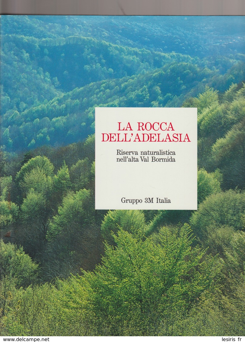 LA ROCCA DELL'ADELASIA - RISERVA NATURALISTICA NELL'ALTA VAL BORMIDA - GRUPPO 3 M ITALIA - CAVALLERO - FOTO - 1989 - - Natur