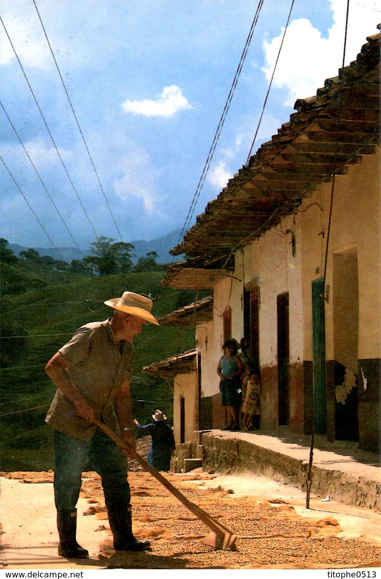 COLOMBIE. Carte Postale écrite.Antioquia/Café. - Colombia