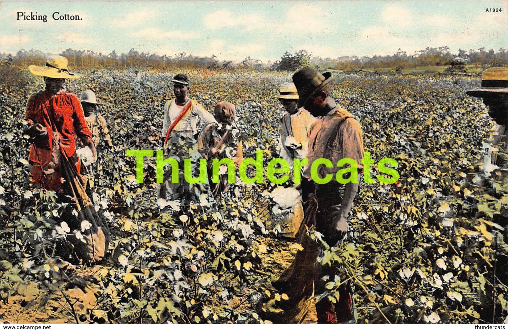 CPA  BLACK AMERICANA PICKING COTTON - Black Americana