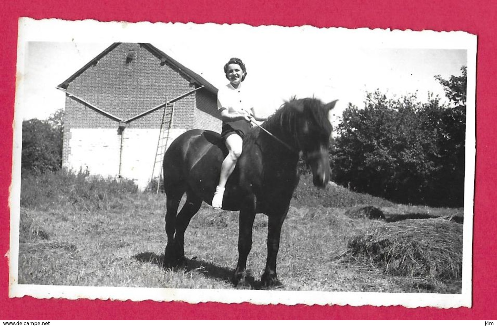 Ancienne PHOTO 11 X 6,5 Cm...FEMME En SHORT à Califourchon Sur Un CHEVAL, PIN UP - Pin-up