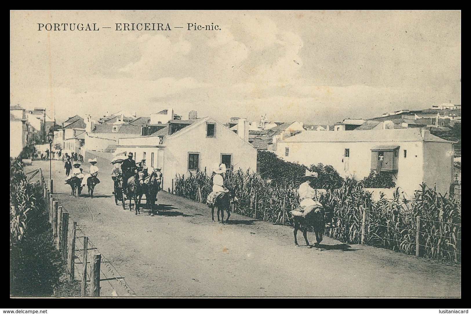 MAFRA - ERICEIRA - Pic-nic ( Ed. Casa Comercial Angelo Augusto Do Carmo) Carte Postale - Lisboa