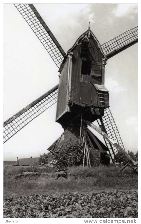 BRECHT - Sint-Lenaarts (Prov. Antw.) - Molen/moulin - MAXIKAART Van De Gewezen Molen Van Het Molenheike ± 1940. TOP !!! - Brecht