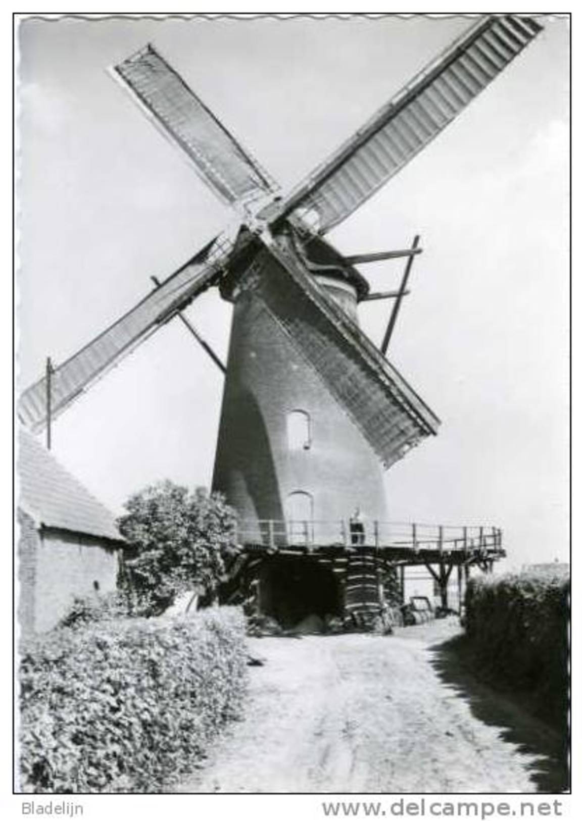 BERENDRECHT (Antwerpen) - Molen/moulin - Historische Opname Van De Buitenmolen Omstreeks 1935. TOP! - Antwerpen