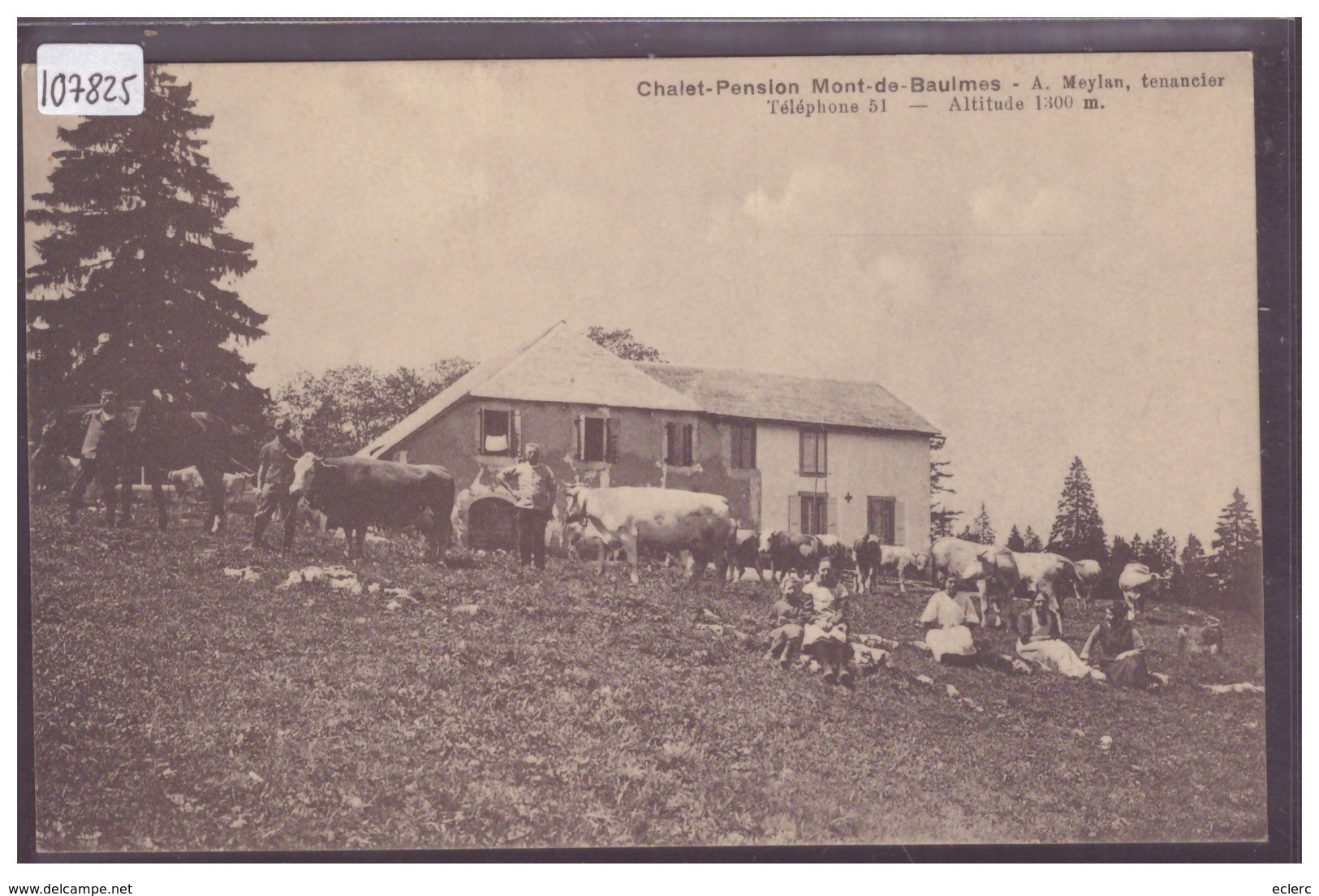 DISTRICT DE GRANDSON - VACHES AU CHALET DU MONT DE BAULMES - TB - Baulmes