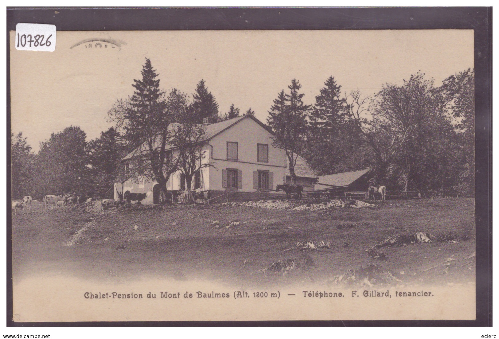 DISTRICT DE GRANDSON - CHALET DU MONT DE BAULMES - B ( TIMBRE ARRACHE AU DOS AVEC PETIT AMINCI ) - Baulmes