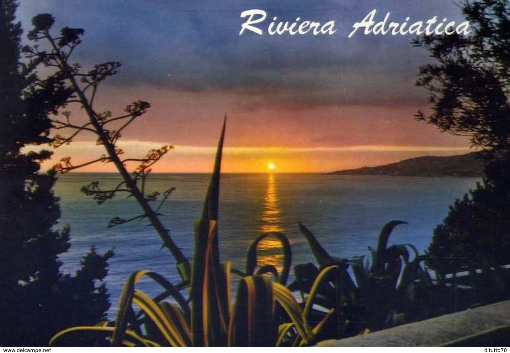 Riviera Adriatica - 202-a - Formato Grande Viaggiata – E 9 - Altri & Non Classificati