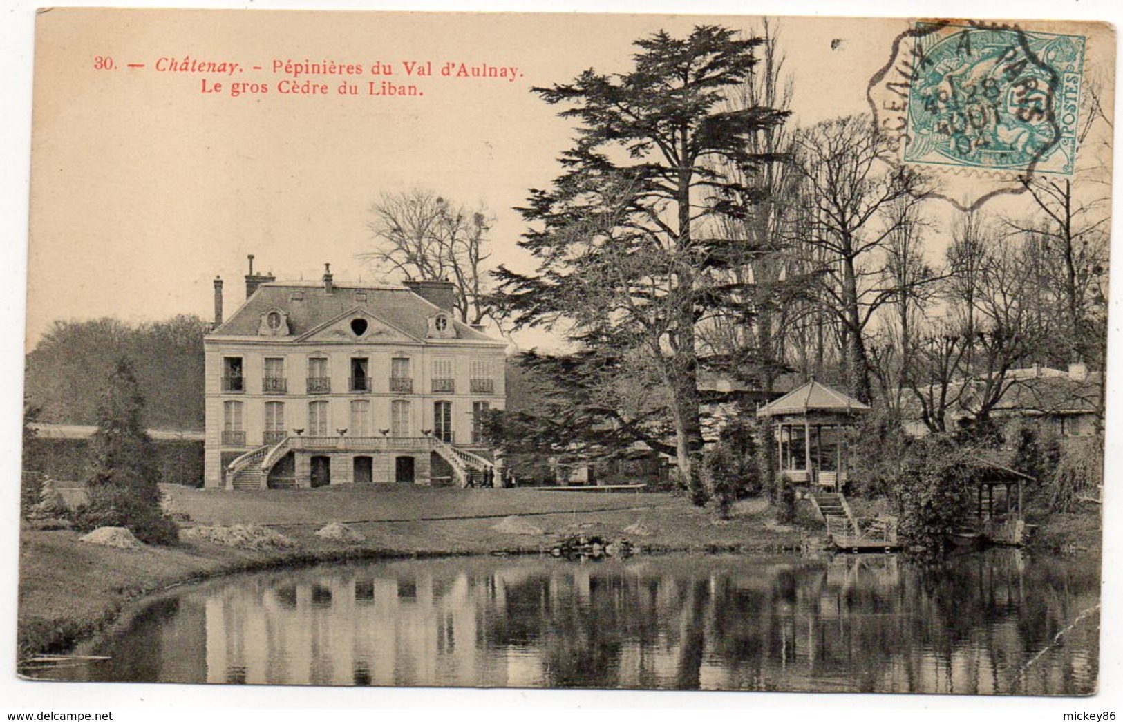 CHATENAY-MALABRY-1904-Pépinières Du Val D'Aulnay-Le Gros Cèdre Du Liban--cachet Ambulant" Sceaux à Paris" - Chatenay Malabry