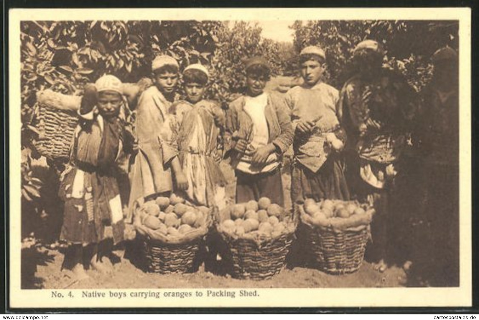 AK Native Boys Carrying Oranges To Packing Shed - Sonstige & Ohne Zuordnung