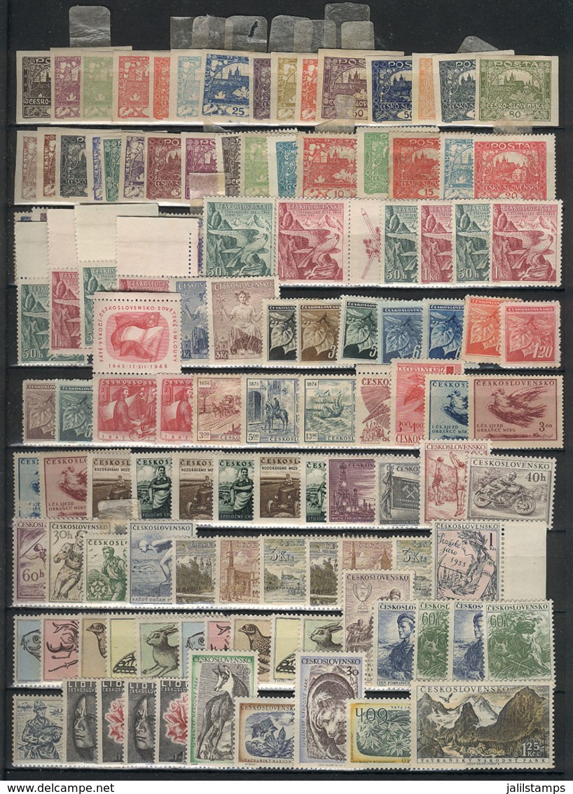 CZECHOSLOVAKIA: Collection In Stockbook With Good Stamps And Very Nice Sets, Some Of The Early Issues Lightly Hinged, Bu - Verzamelingen & Reeksen