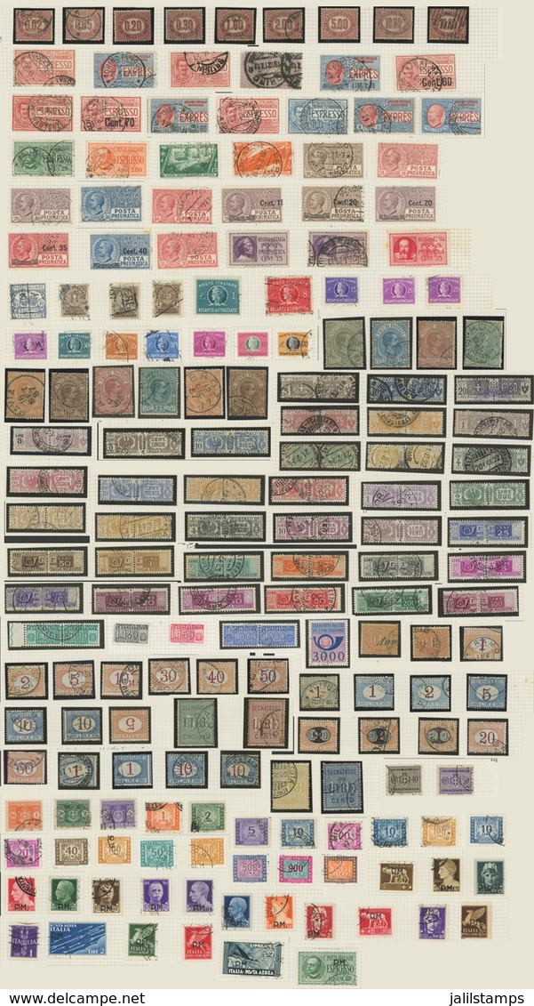 ITALY: Back-of-the-book Stamps: Official Stamps, Express Stamps, Pneumatic Mail, Etc., Collection On Algum Pages Includi - Otros & Sin Clasificación