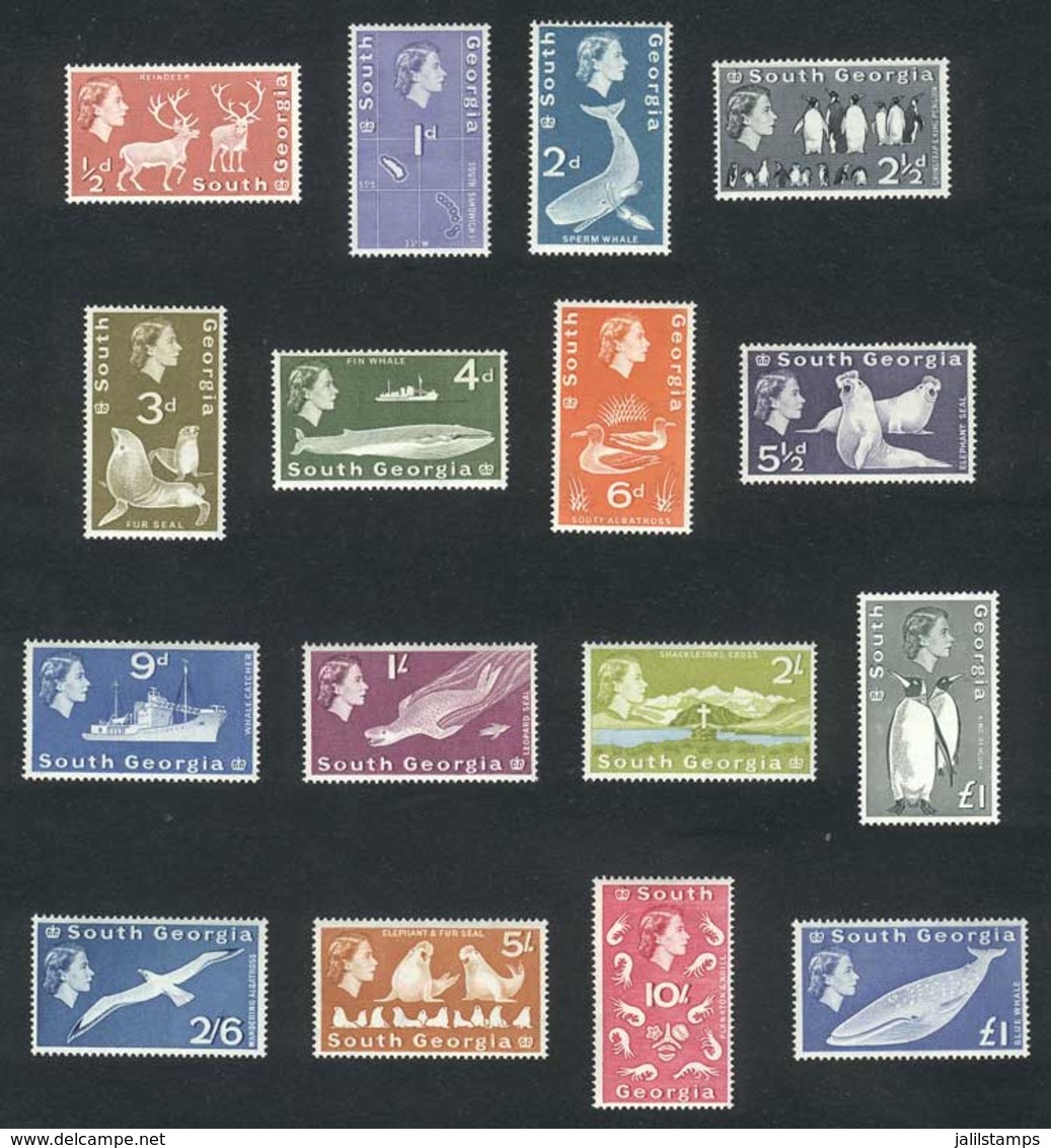 FALKLAND ISLANDS/MALVINAS - SOUTH GEORGIA: Yvert 9/24, 1963/9 Fauna, Complete Set Of 16 Values, Excellent Quality, Yvert - Islas Malvinas