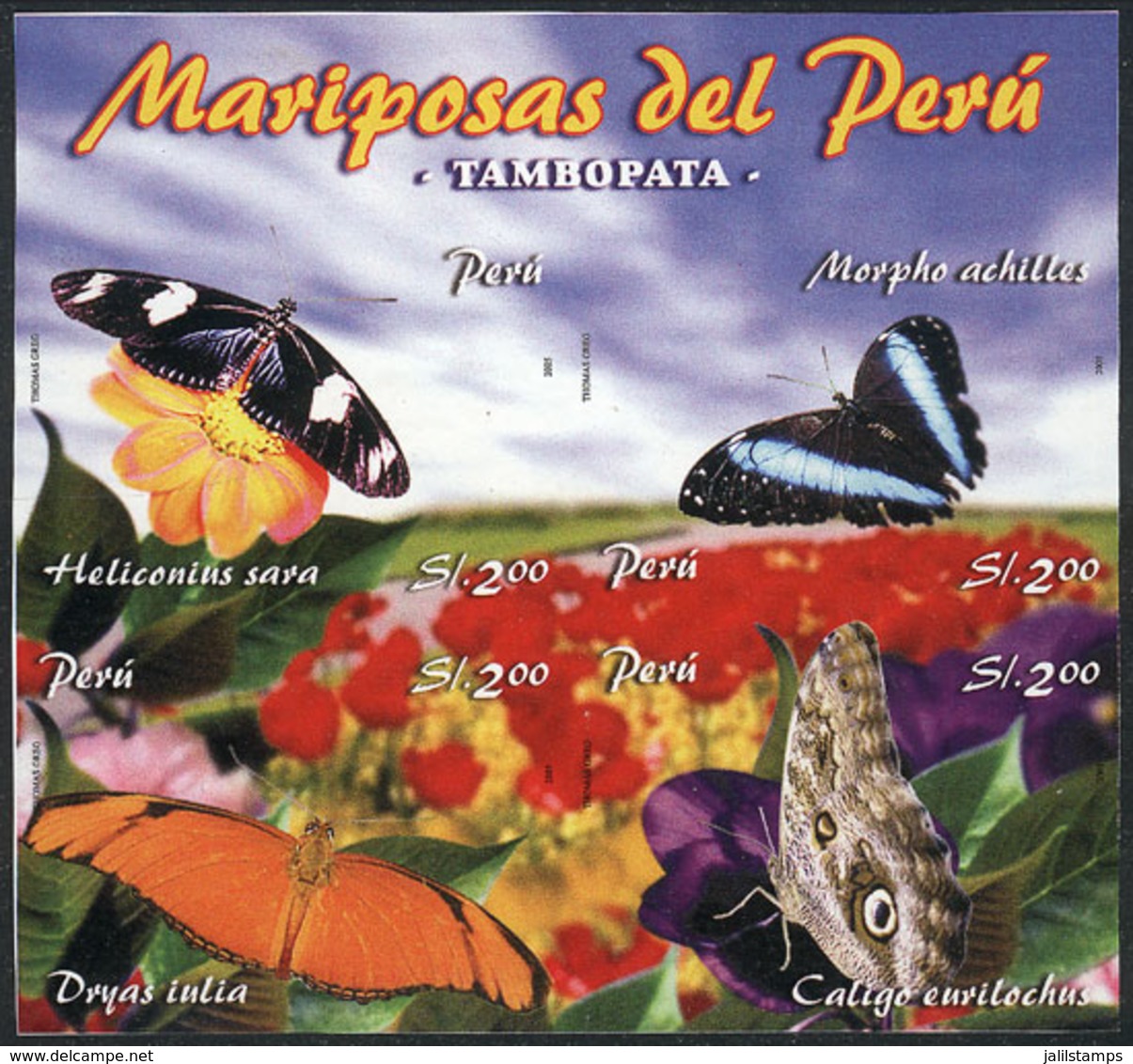 PERU: Sc.1501, 2006 Butterflies, IMPERFORATE Set, Excellent Quality, Rare! - Peru