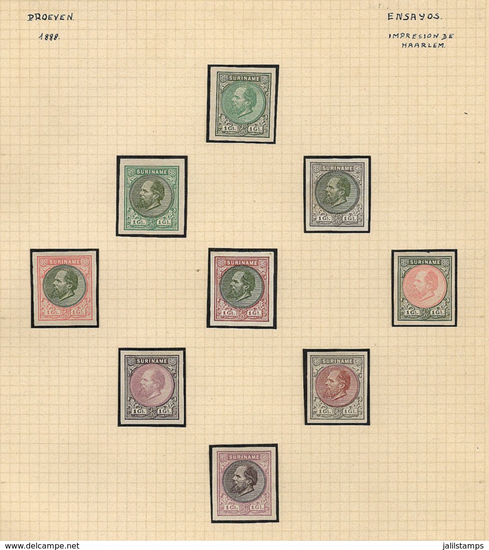 SURINAME: 1872/1888 King William III, Collection Of TRIAL COLOR PROOFS On 4 Pages Of An Old Collection, In Total 44 Diff - Surinam