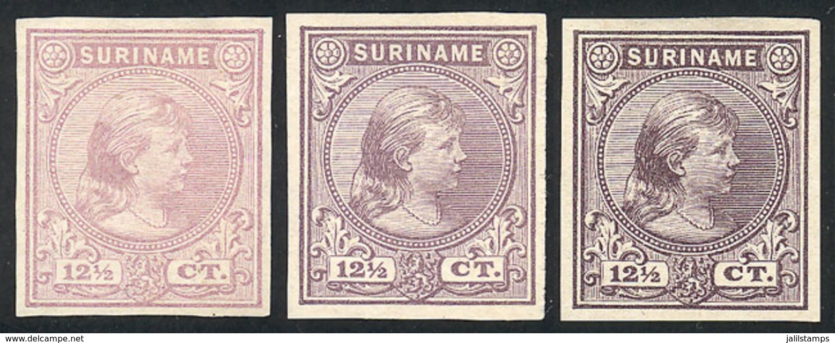 SURINAME: Sc.26, 1892/3 Queen Wilhelmina 12½c., 3 TRIAL COLOR PROOFS (different Colors), Imperforate, Excellent Quality, - Suriname