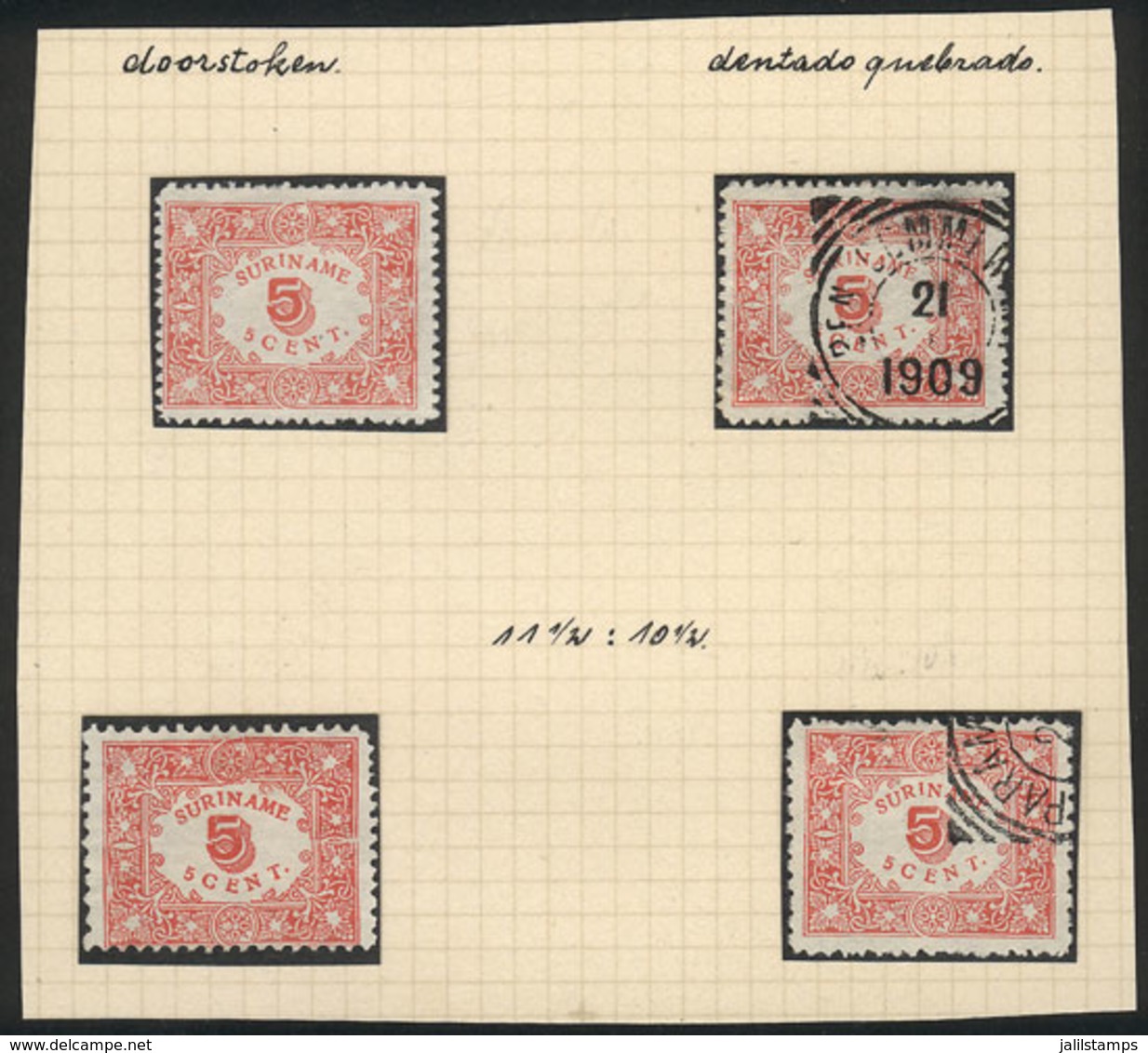 SURINAME: Sc.61/62, 1909 5c. Red Rouletted And Perforated, Mint And Used Examples, VF Quality, Catalog Value US$50+ - Surinam