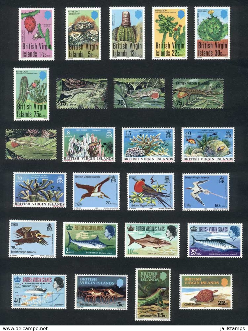 VIRGIN ISLANDS: Lot Of Stamps And Complete Sets + Souvenir Sheets, Very Thematic, All Of Excellent Quality, Low Start! - Amerika (Varia)