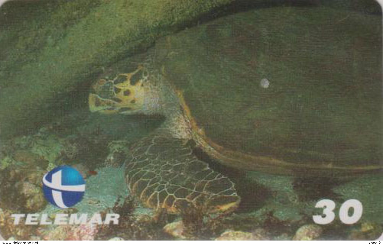 Télécarte Brésil - ANIMAL - TORTUE - Tartaruga Cabeçuda - TURTLE Phonecard - SCHILDKRÖTE * Telemar * - 152 - Turtles