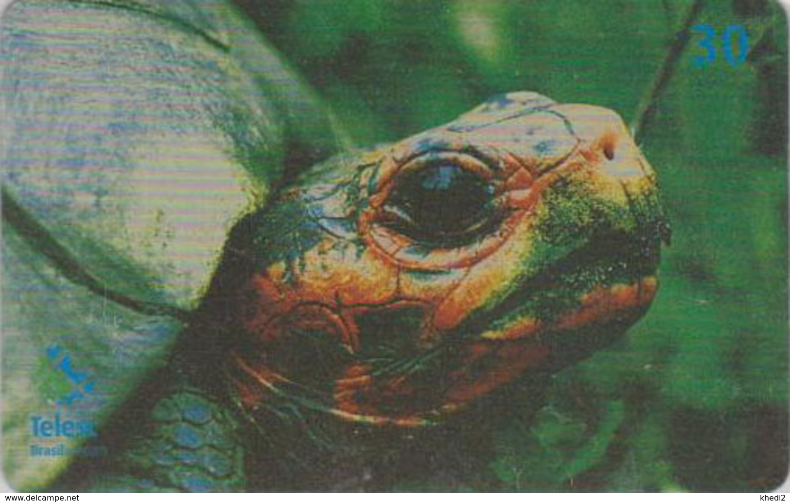 Télécarte Brésil - ANIMAL - TORTUE - Geochelone Denticulata - TURTLE Phonecard - SCHILDKRÖTE * Telesc * - 153 - Tortugas