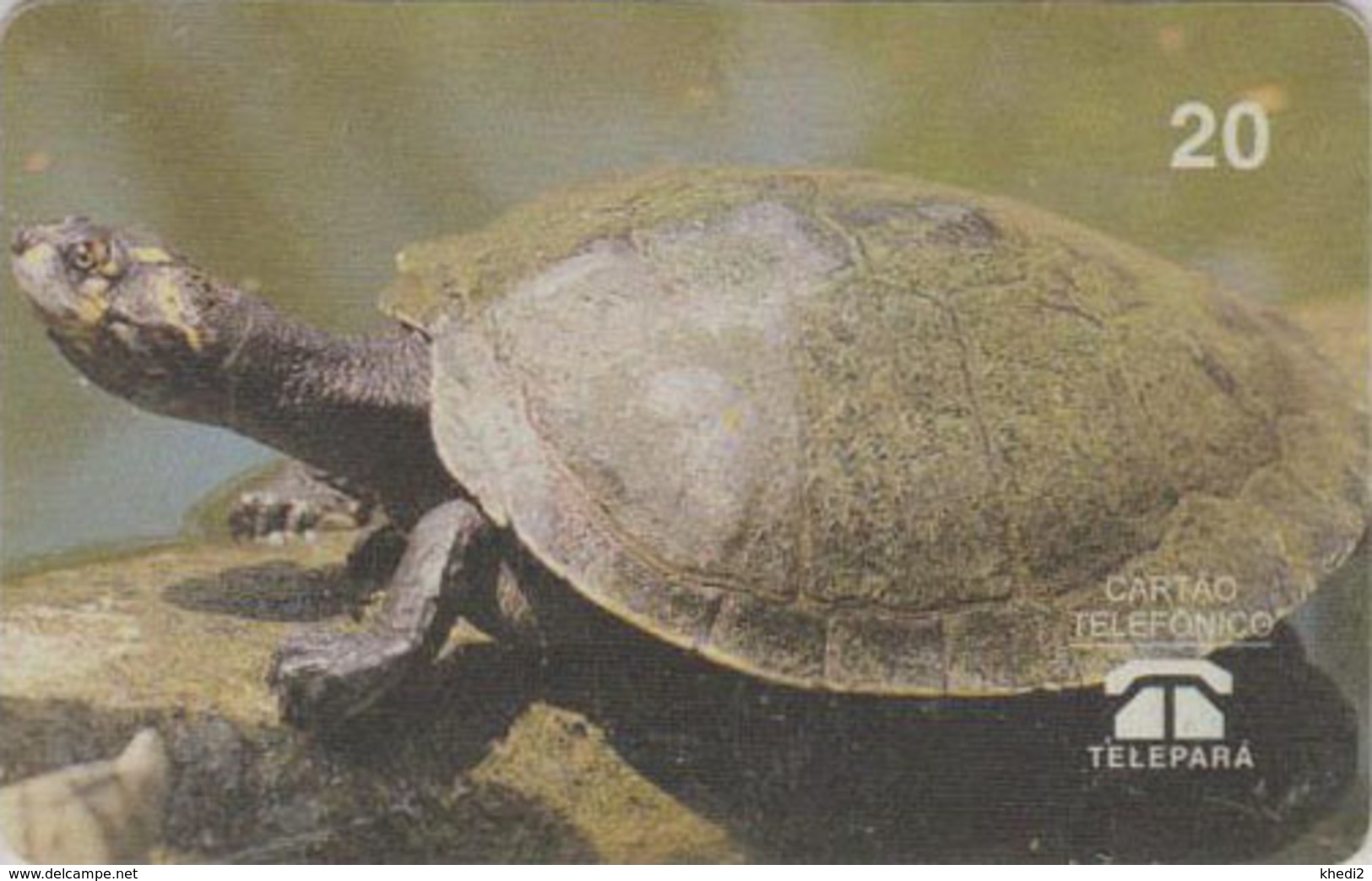 Télécarte Brésil - ANIMAL - TORTUE - Tracaja - TURTLE Phonecard - SCHILDKRÖTE * Telepara * - 154 - Turtles