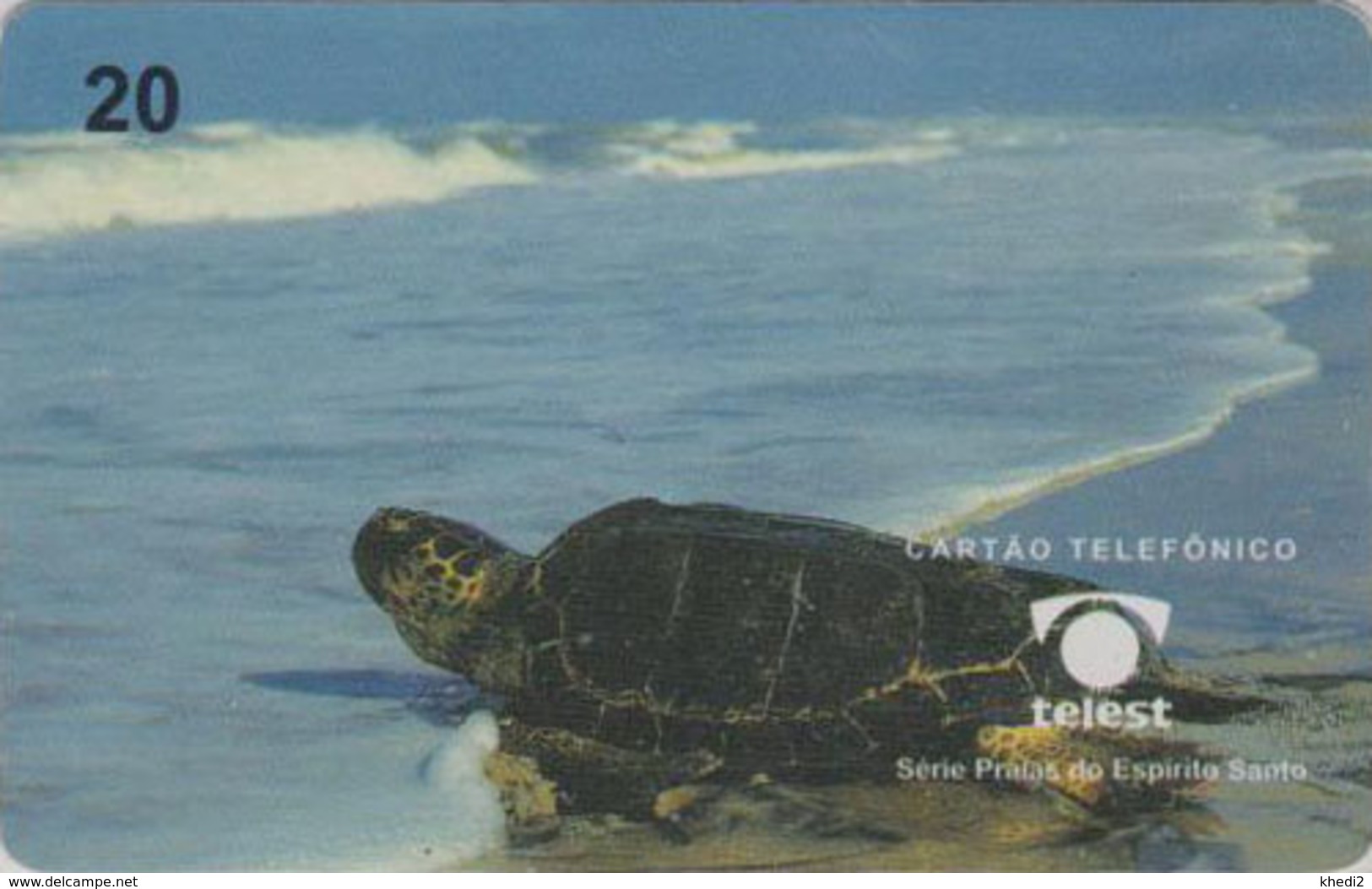 Télécarte Brésil - ANIMAL - TORTUE - TURTLE Phonecard - SCHILDKRÖTE * Telest * - 155 - Schildpadden
