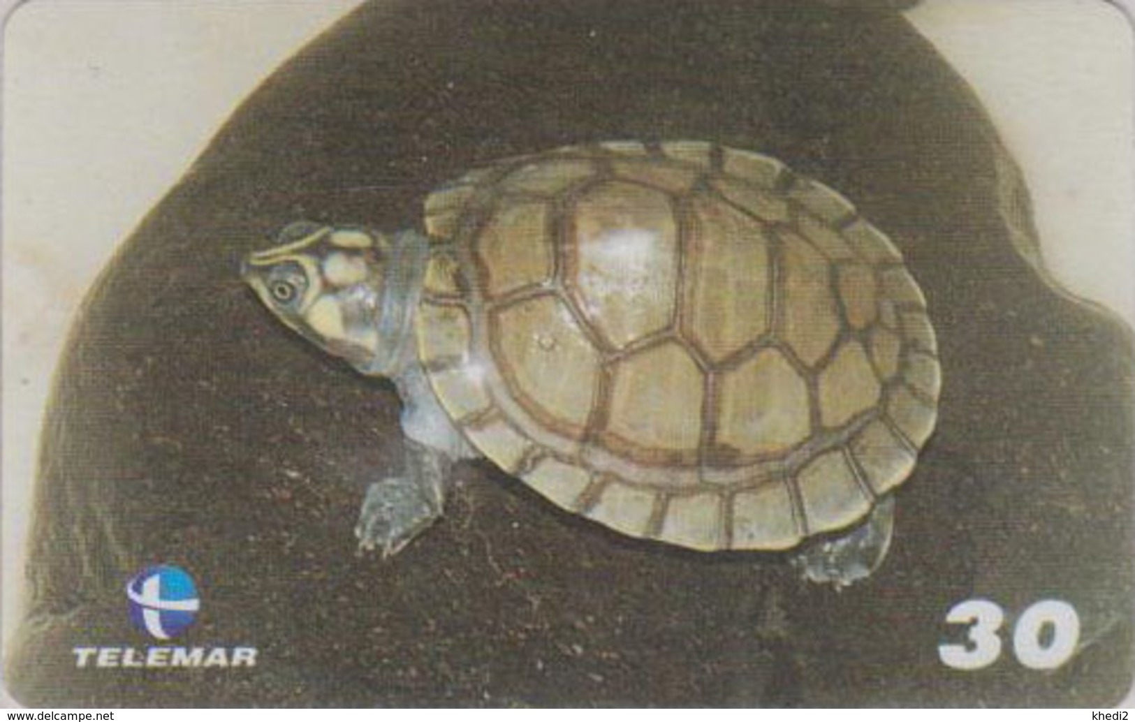 Télécarte Brésil - ANIMAL - TORTUE - Podocnemis Expansa - TURTLE Phonecard - SCHILDKRÖTE * Telemar * - 158 - Turtles