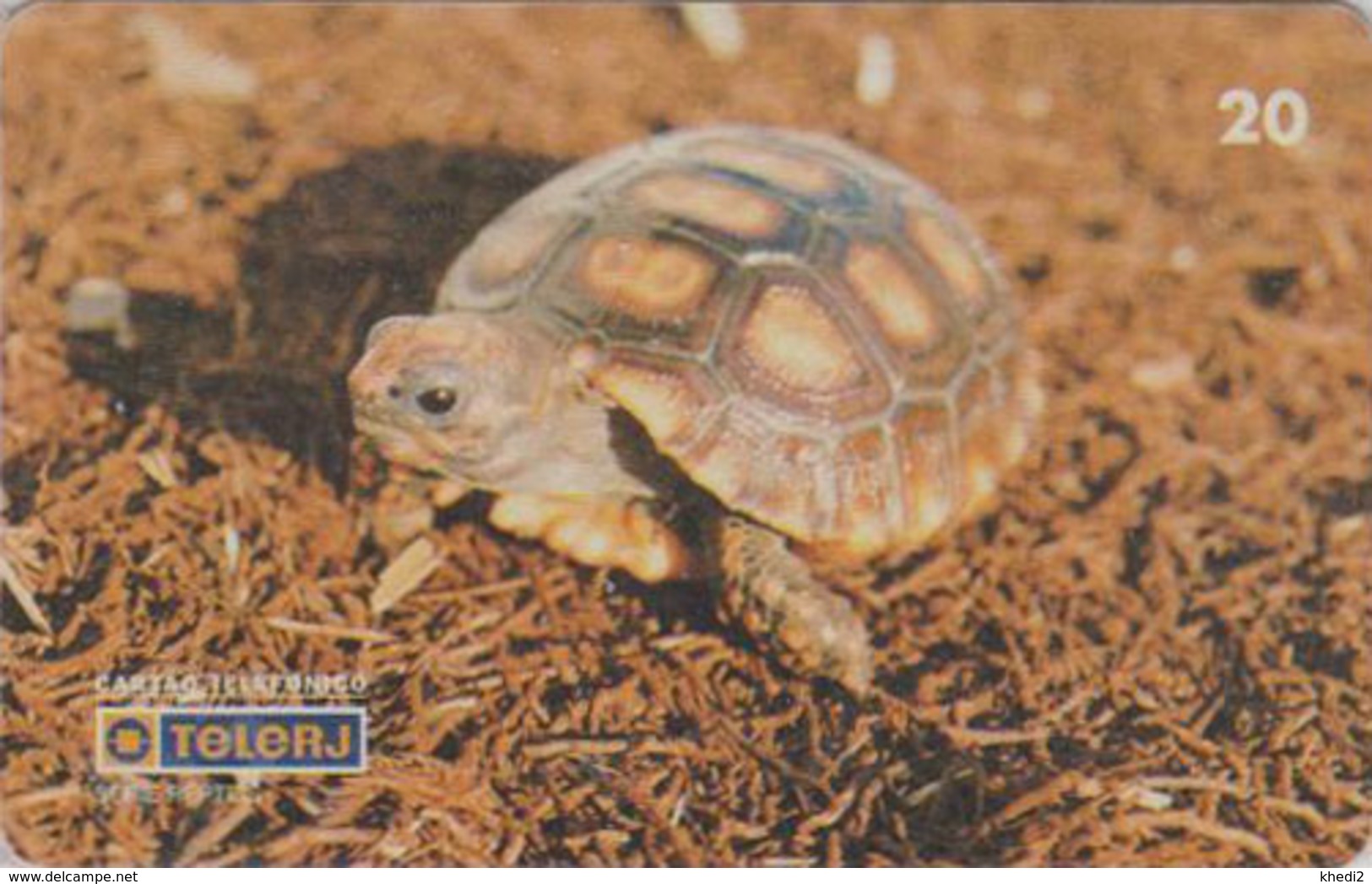 Télécarte Brésil - ANIMAL - TORTUE - Geochelone Carbonaria - TURTLE Phonecard - SCHILDKRÖTE * Telerj * - 162 - Turtles