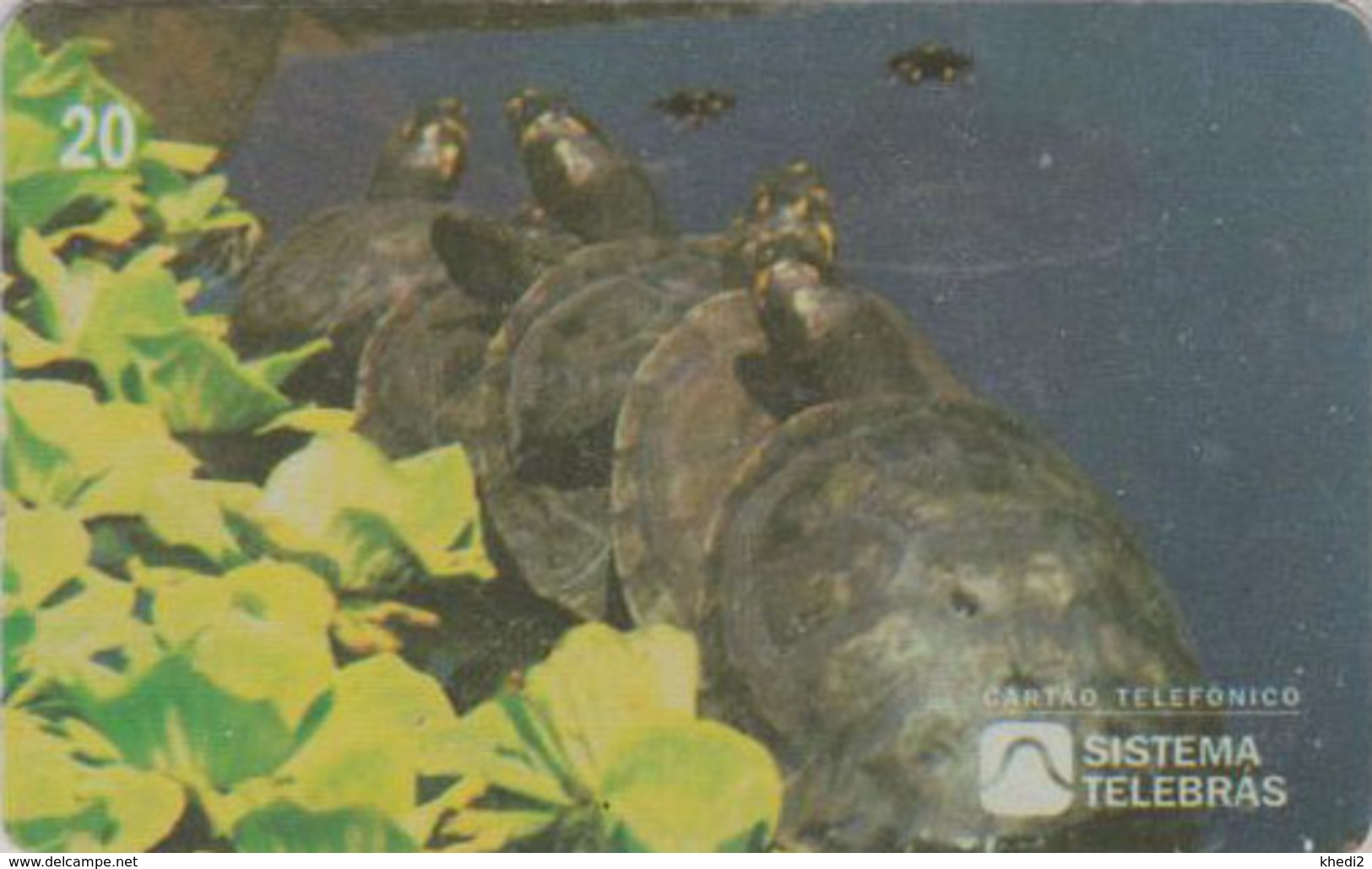 Télécarte Brésil - ANIMAL - TORTUE - TURTLE Phonecard - SCHILDKRÖTE * Telebras * - 163 - Schildpadden