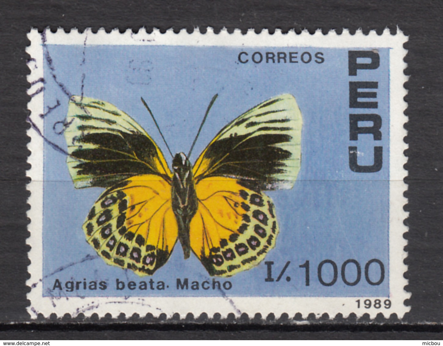 ##25, Pérou, Peru, Papillon, Butterfly, Sc 942 - Pérou