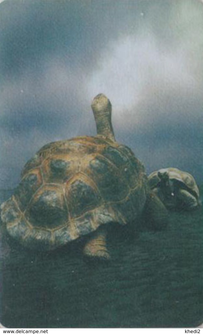 Télécarte Liberia - ANIMAL - TORTUE - TURTLE Phonecard - SCHILDKRÖTE Telefonkarte - 177 - Schildpadden