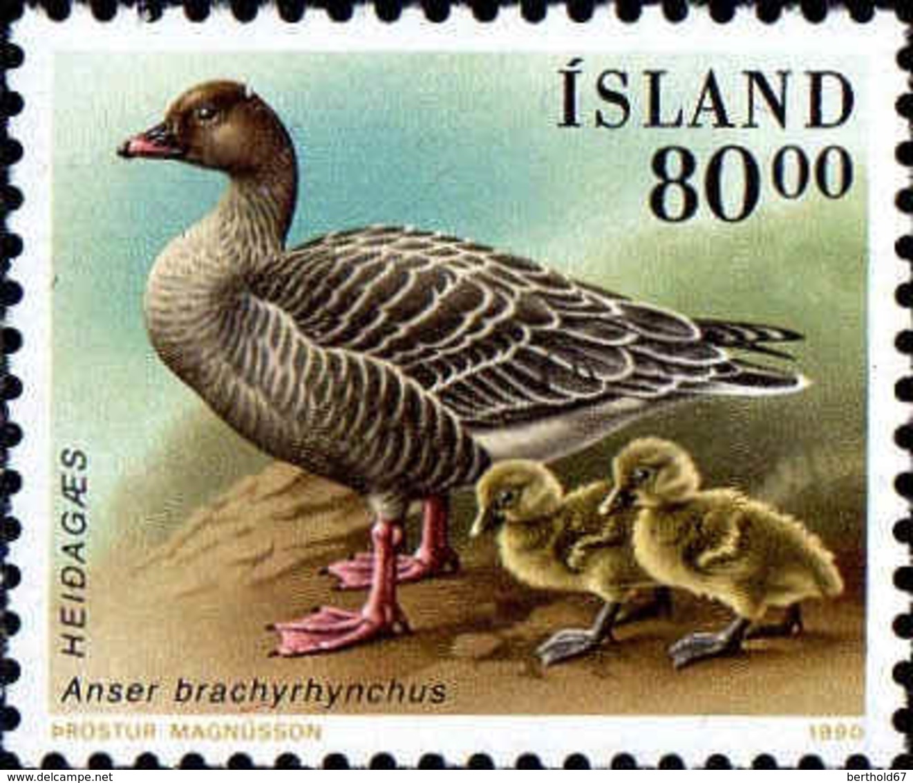 Islande Poste N** Yv:675/676 Faune Palmipèdes - Neufs