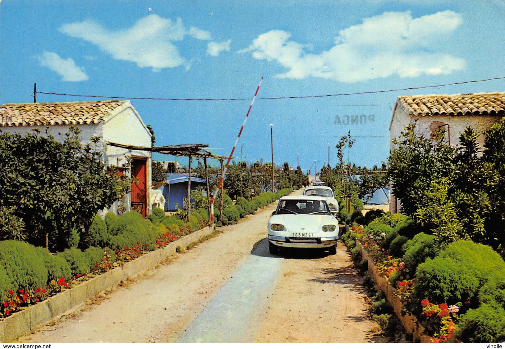 PIE-RO-18-7993 :  CAMPING OLE OLIVIA VALENCIA ESPAGNE. AUTOMOBILE. - Voitures De Tourisme