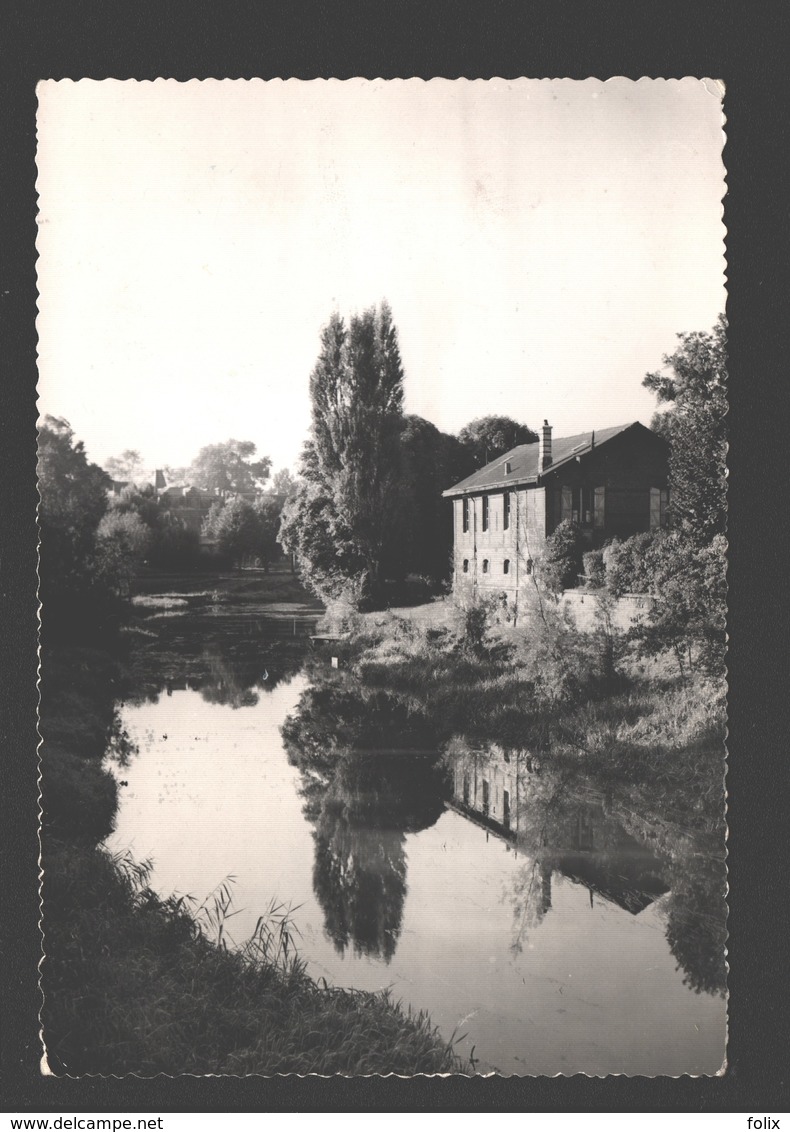 Sedan - La Meuse Au Sport Nautique - éd. Fotirage, Photographie Véritable - 1956 - Sedan