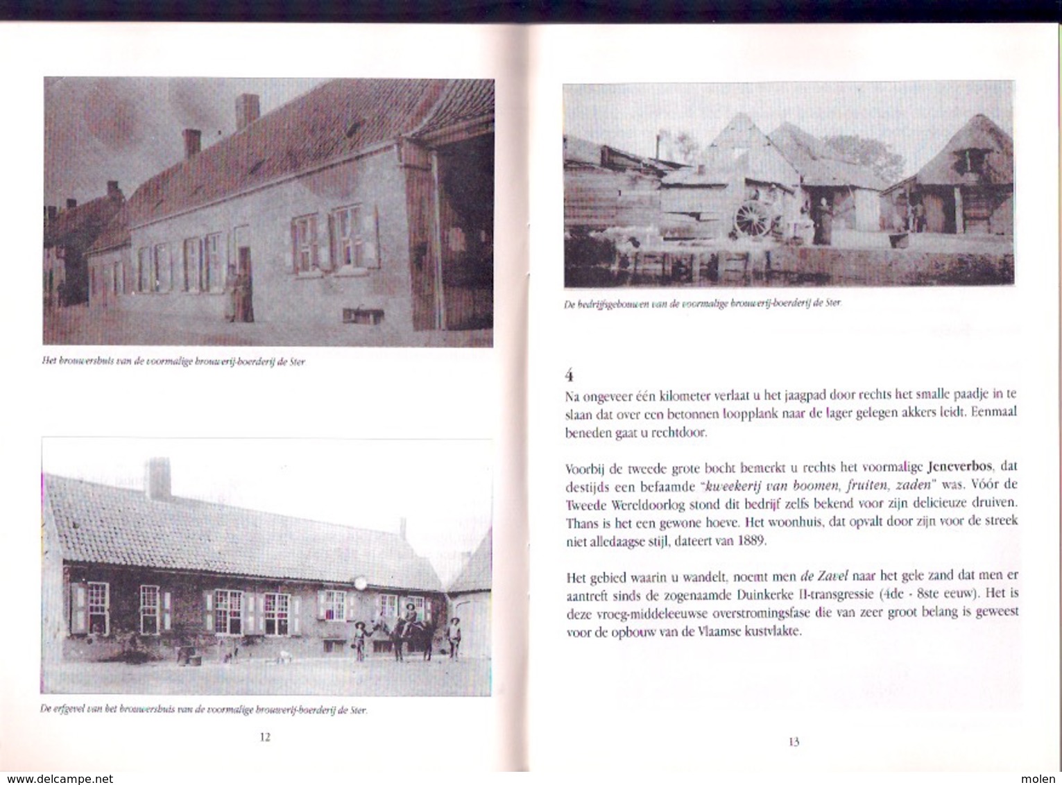 OVER BROUWEN EN BROUWERS IN ALVERINGEM 48pp ©1995 Met Sint-Arnold Op Stap BROUWERIJ BROUWER BIER BIERE BRASSERIE Z398-15 - Cafés