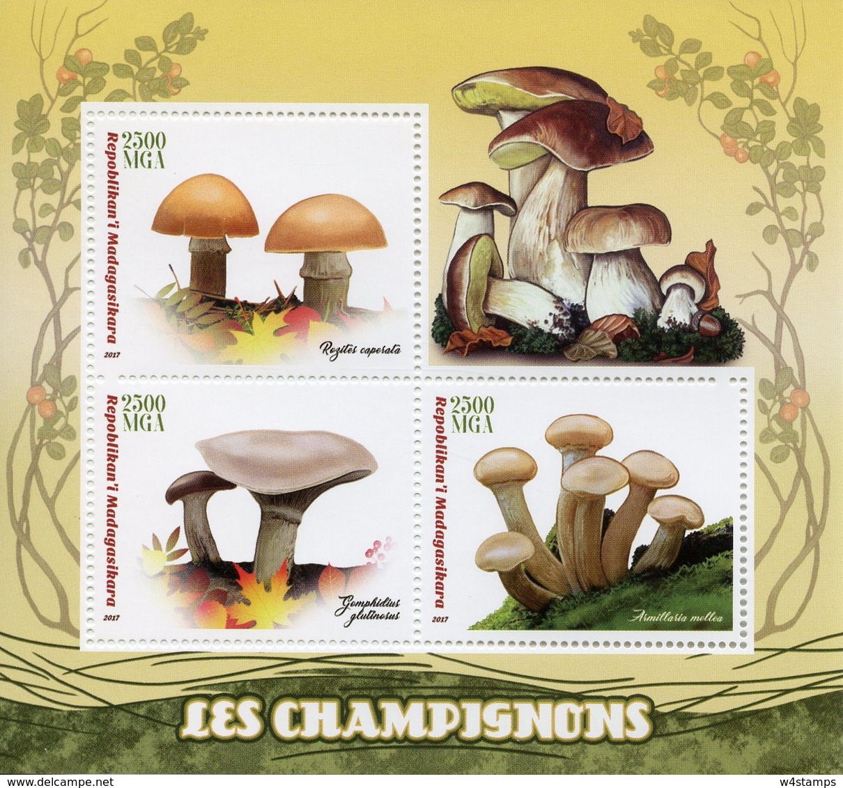 Madagascar 2017 MNH Mushrooms 3v M/S Champignons Fungi Nature Stamps - Mushrooms