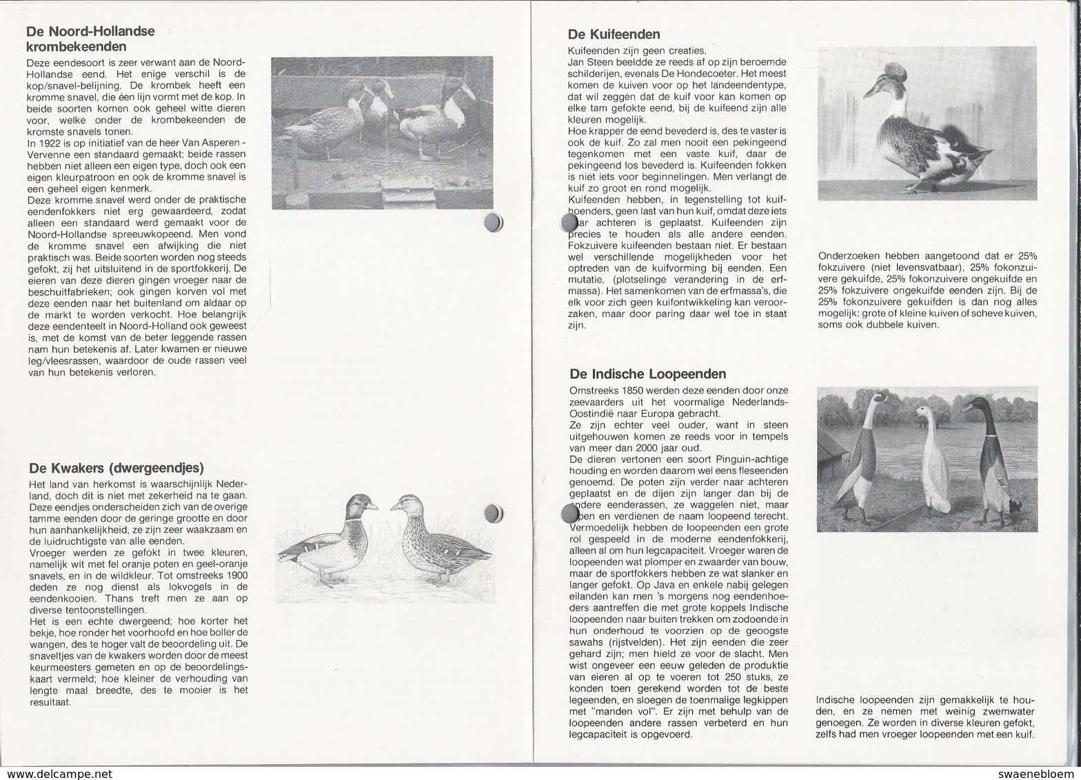 NEDERLAND WATERVOGELLAND. Uitgave September 1987. Koninklijke Nederlandse Vereniging - Ornithophilia - - Tierwelt