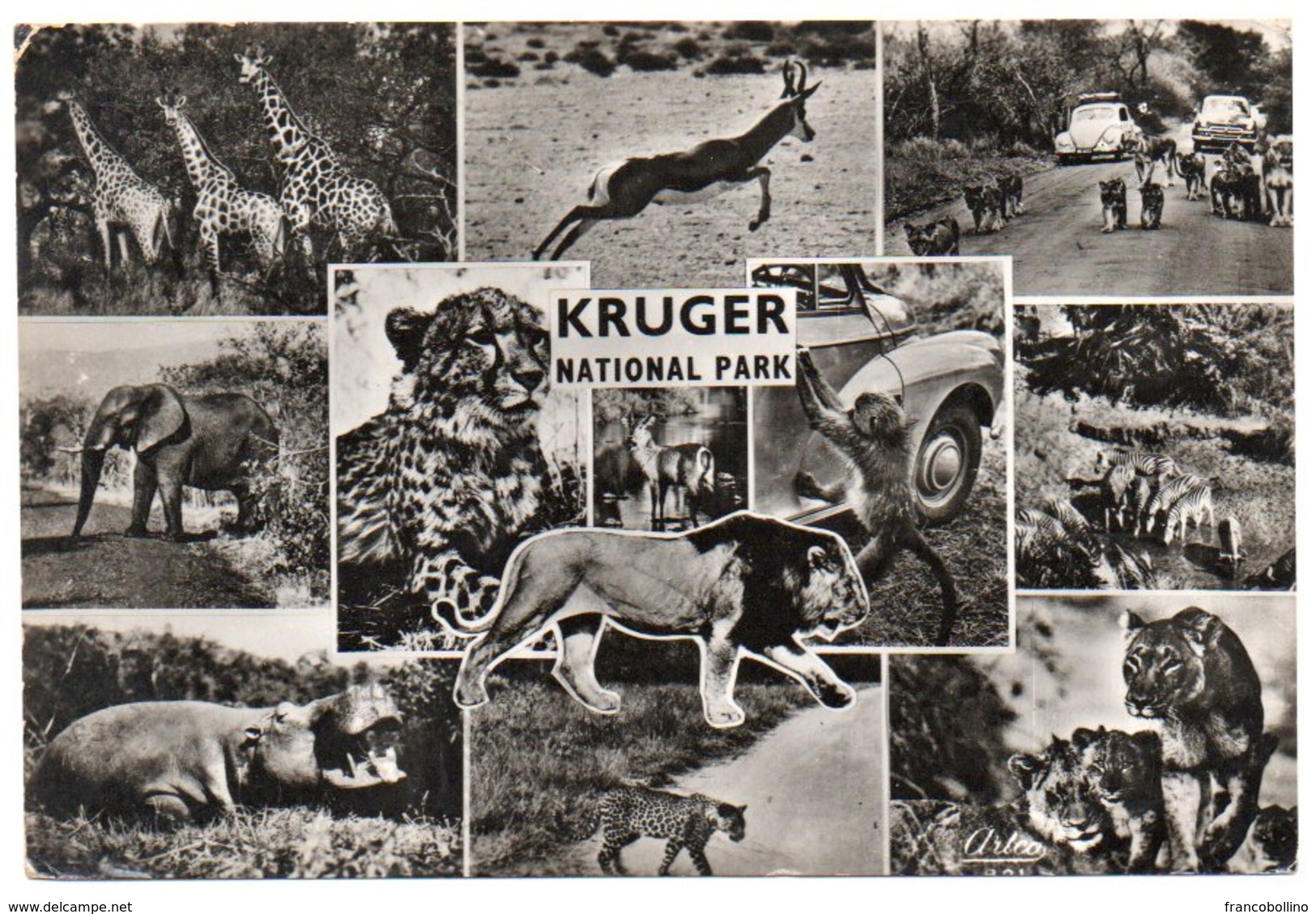 SOUTH AFRICA - KRUGER NATIONAL PARK-VOLKSWAGEN KAFER /BEETLE/ COCCINELLE /OLD CARS / RHODESIA AND NYASALAND STAMPS - Sud Africa