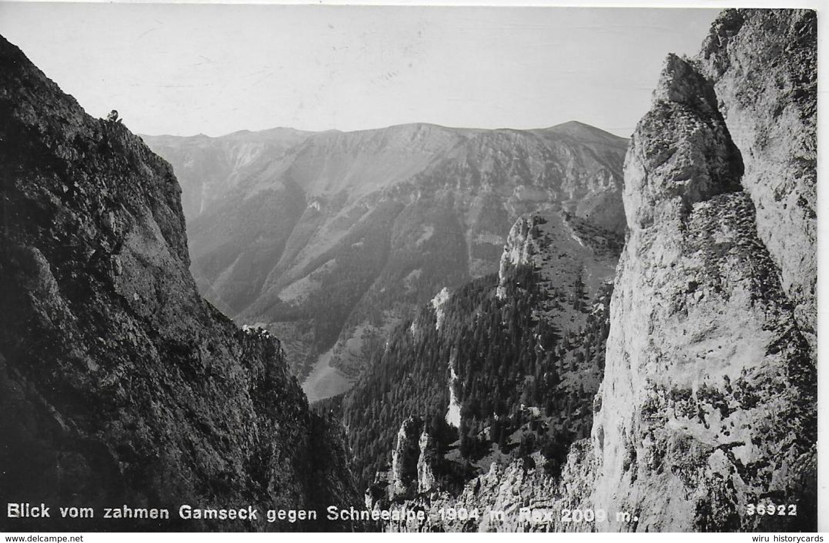 AK 0096  Rax - Blick Vom Zahmen Gamseck Gegen Schneealpe / Verlag Ledermann Um 1941 - Raxgebiet