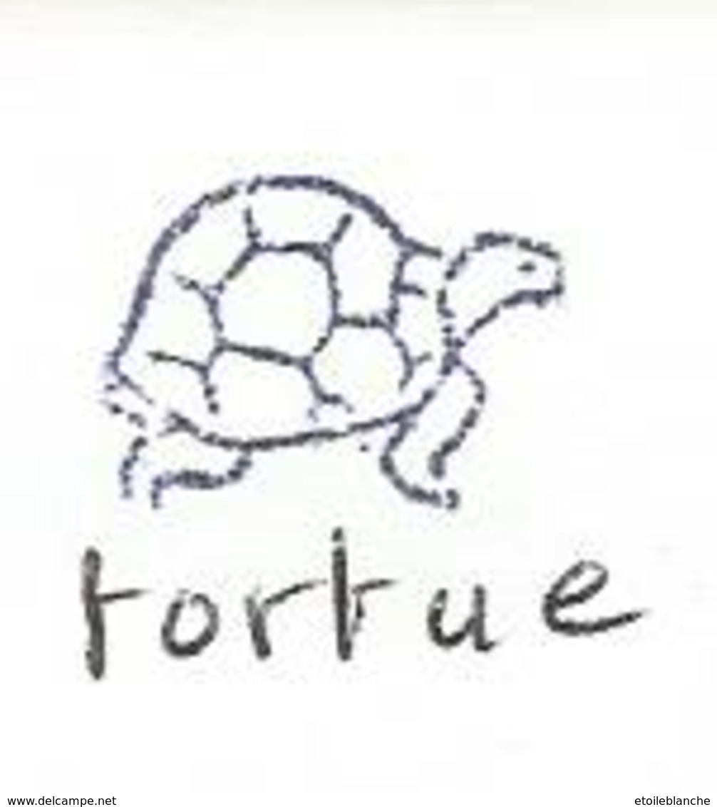 Animal, Tortue - Tampon Scolaire, Petit Cube - French Rubber Stamp, School, Tortoise, Turtle - Dessin, Coloriage - Scrapbooking