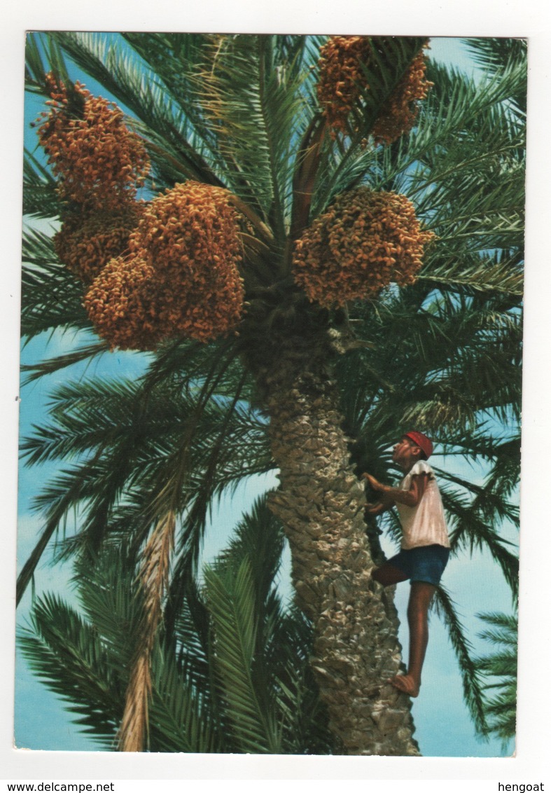 Beau Timbre , Stamp  " Journée Mondiale Des Télécommunications "  Sur Cp , Carte , Postcard  Pour La France - Tunisie (1956-...)