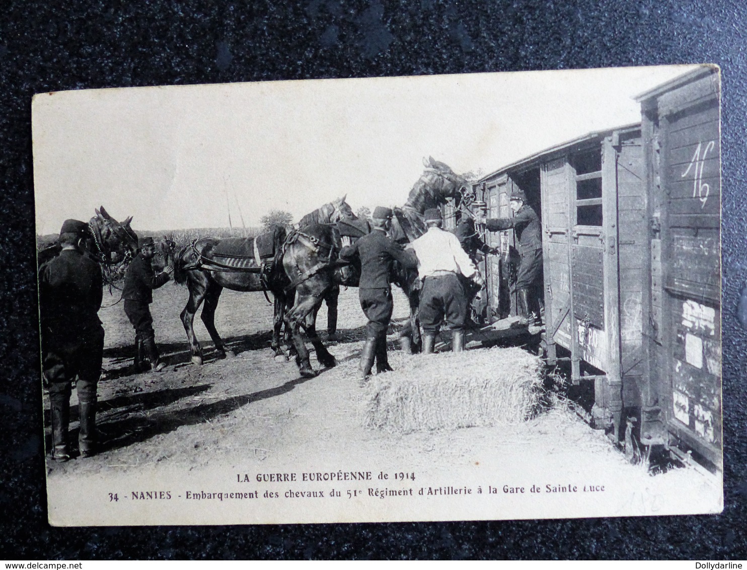 NANTES Embarquement Des Chevaux Du 54e Régiment D'Artillerie à La Gare De SAINTE LUCE La Guerre Européenne De 1914 - Other & Unclassified