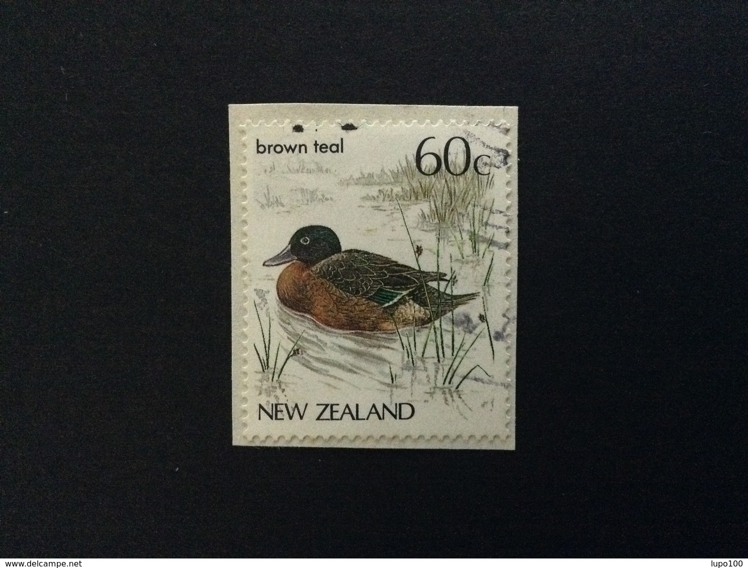 1987 NEW ZEALAND ANATRA BROWN TEAL 60 C FRANCOBOLLO USATO STAMP USED - Usati