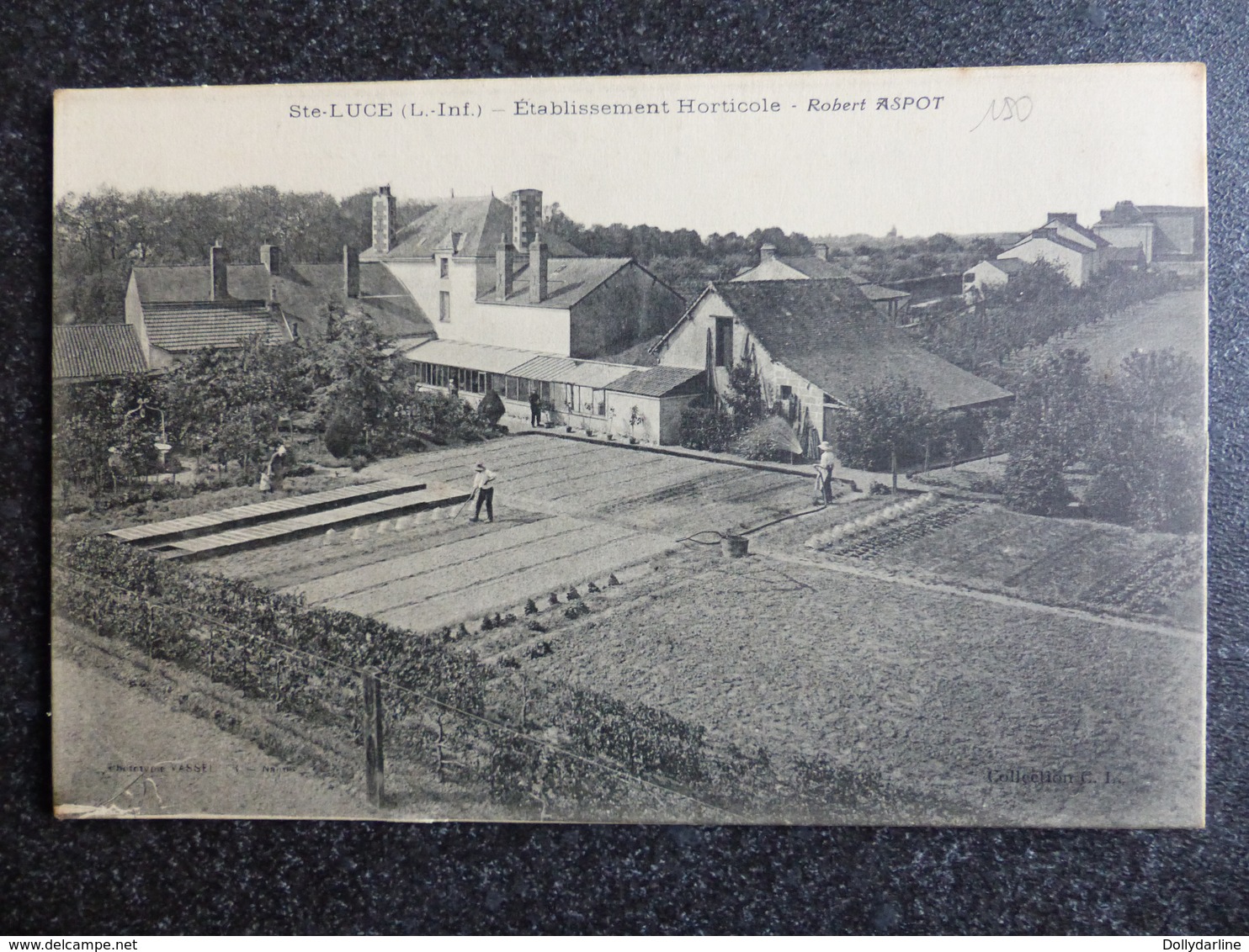 SAINTE LUCE Etablissement Horticole Robert ASPOT Loire Inférieure Atlantique 44 - Autres & Non Classés