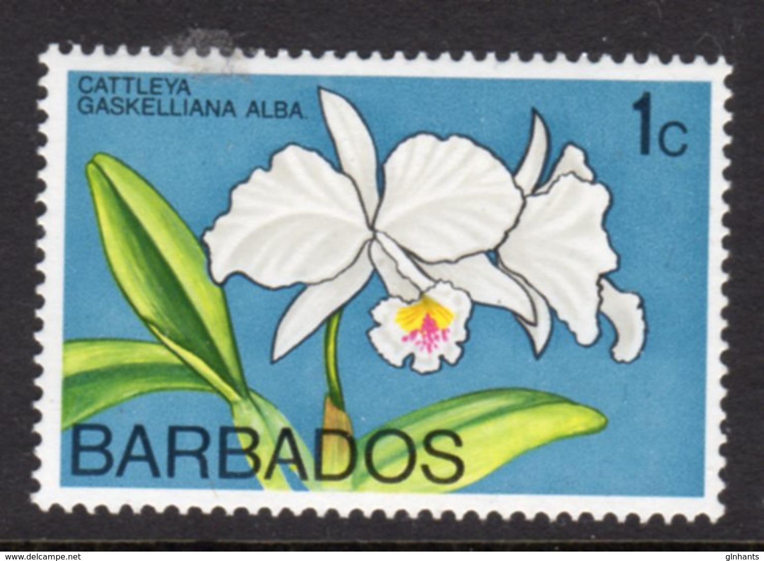 BARBADOS - 1974 1c ORCHID STAMP WMK W12 UPRIGHT FINE MNH ** SG 485 - Barbades (1966-...)