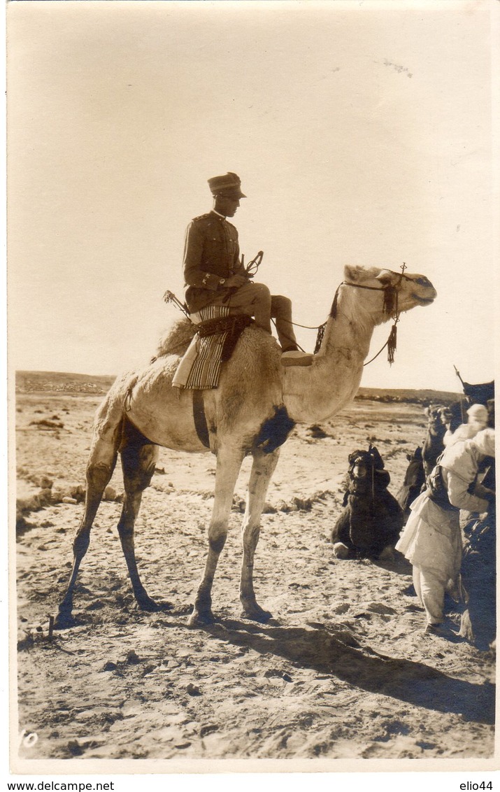 Nella Libia Italiana - Una Cavalcata Nel Deserto -  Amadeo Di Savoia (?) - - Libia