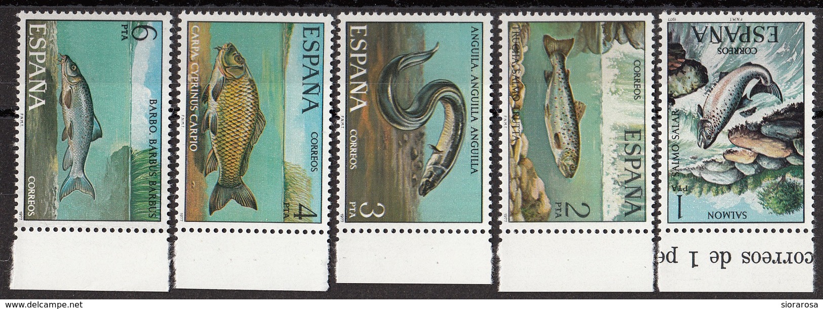 Spagna 1977 Sc. 2031/2035 Pesci Fish Poisson Espana Spain Full Set MNH Salmone Carpa Anguilla... - Pesci