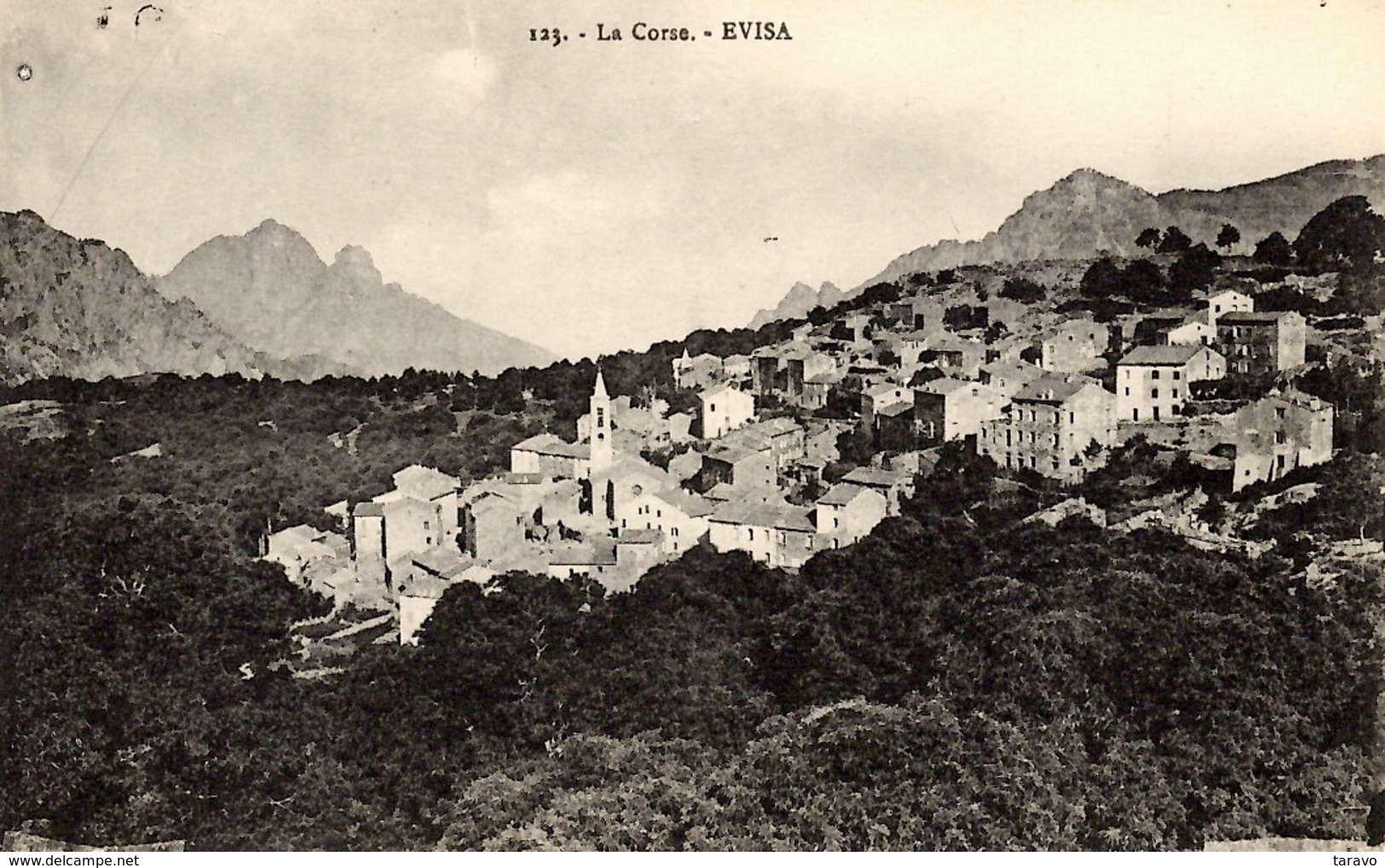 CORSE  - EVISA - Vallée D'AITONE - Sonstige & Ohne Zuordnung