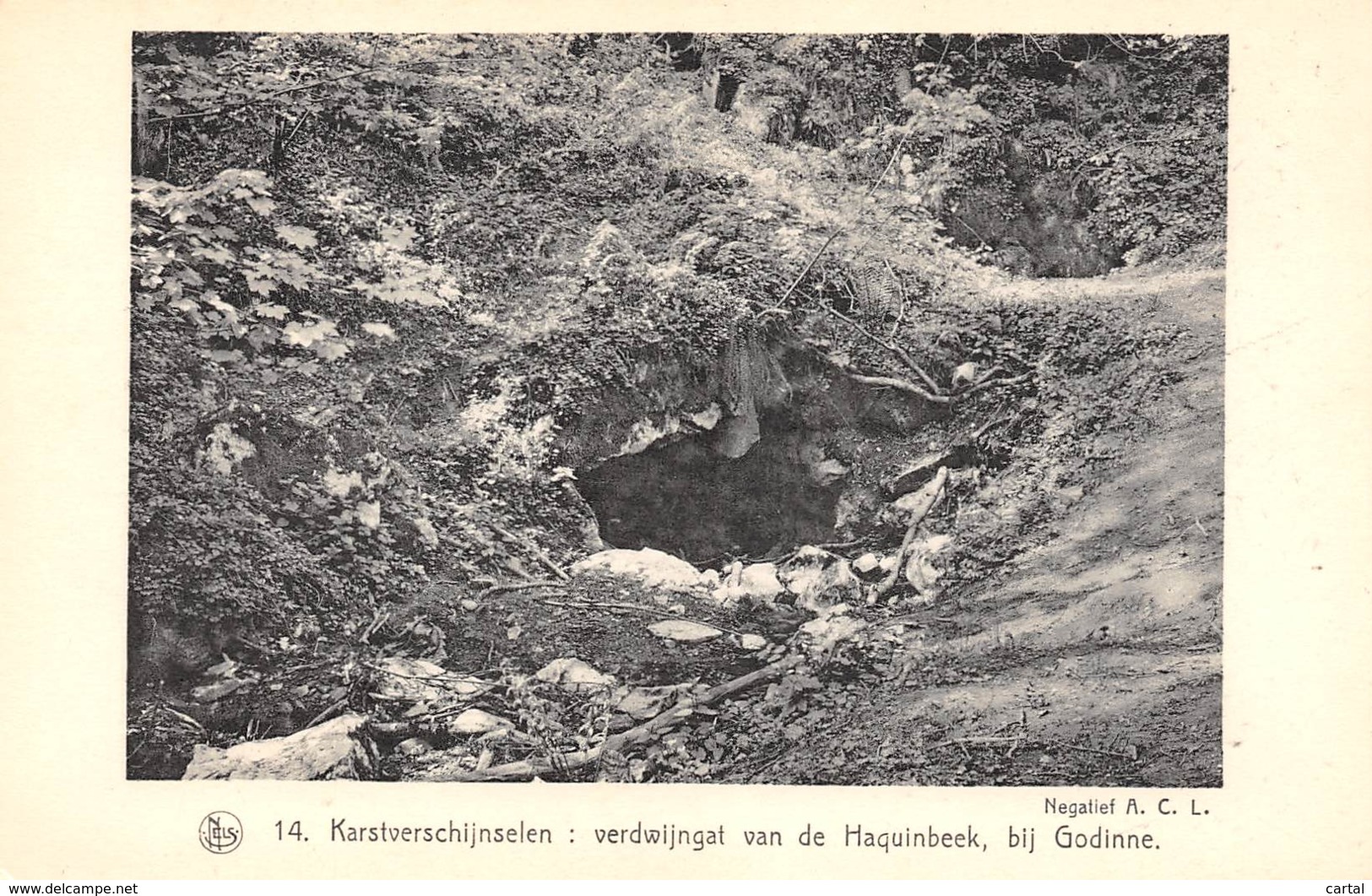 Bij GODINNE - Karstverschijnselen : Verdwijngat Van De Haquinbeek - Yvoir