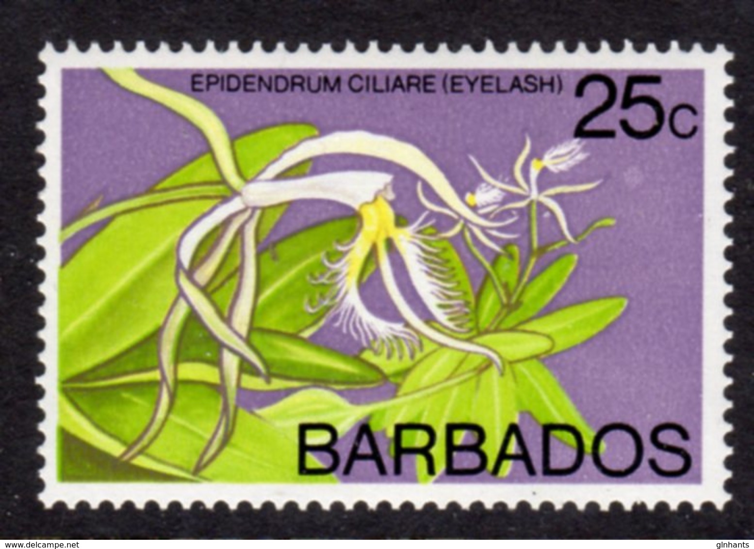 BARBADOS - 1976 25c ORCHID STAMP WMK W12 S/W FINE MNH ** SG 549 - Barbados (1966-...)